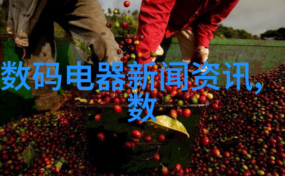 学长的鸡背一篇关于文学创作与农家温馨场景下的奇遇