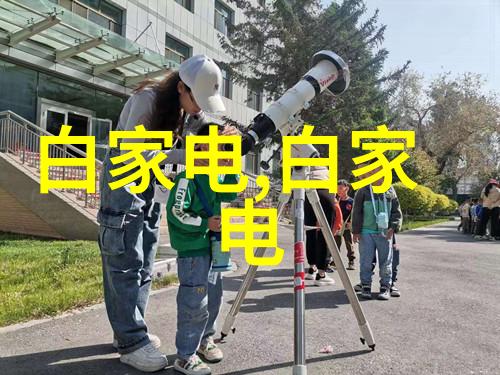 塑料艺术的秘诀揭秘PVC配方与创作技巧