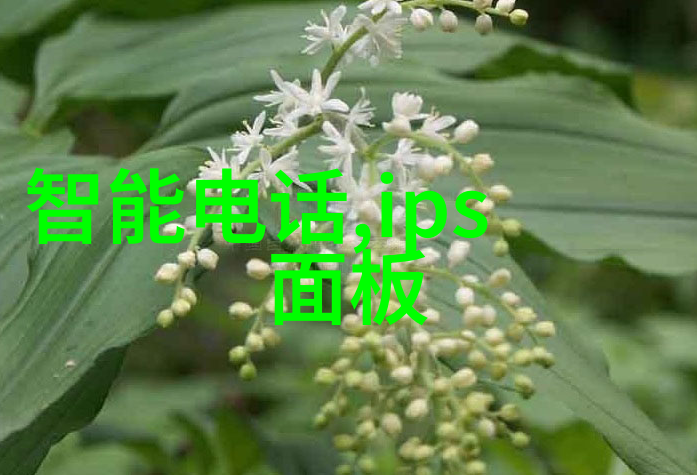 大型纯化水设备厂家背后的科技秘密是什么
