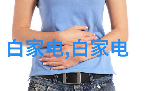 三瓣六瓣填料安装指南确保您的系统稳定运行