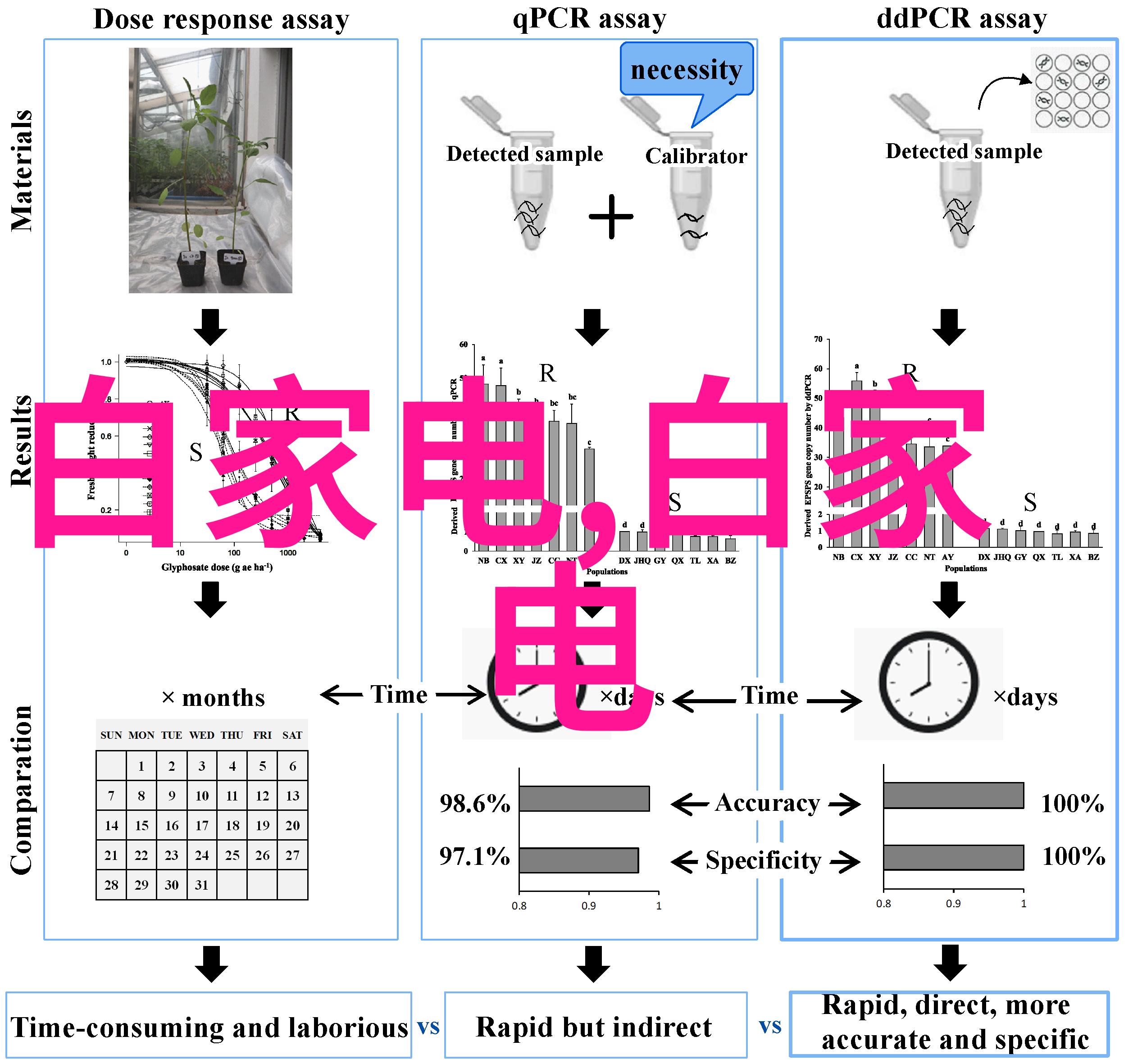 春莺啭(古文)蜜姜我家院子里的春天故事