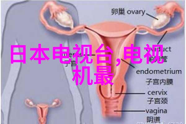 化工设备机械基础第四版解读掌握现代化工技术的关键