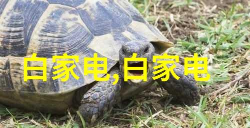 东富龙之谜上海的制药阴影