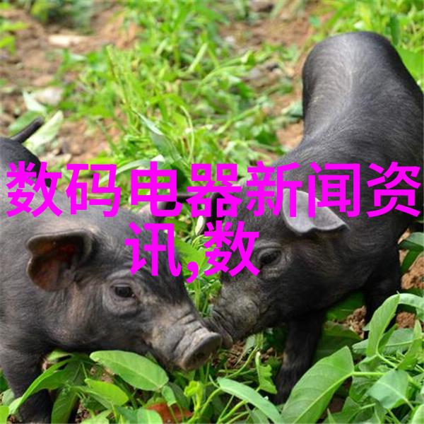 制造不锈钢波纹板填料的工艺流程详解