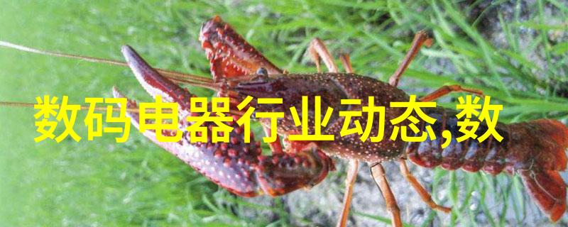 ATA职业技能评价证书-提升行业标准的智慧认证