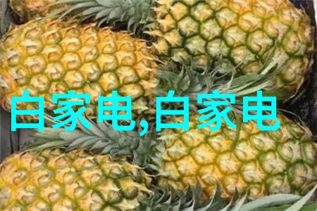 西湖畔的自我追寻杭州个人写真故事