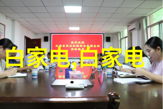 使用电蒸汽发生器 蒸箱前需要注意哪些事项