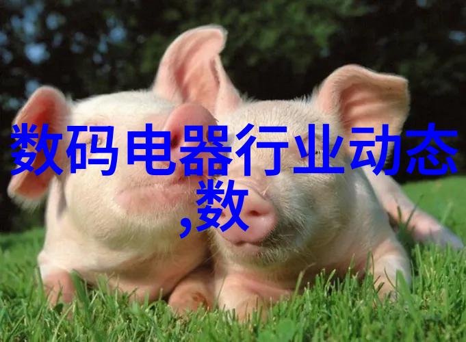农产品检测仪器设备精准守护食安全的先锋