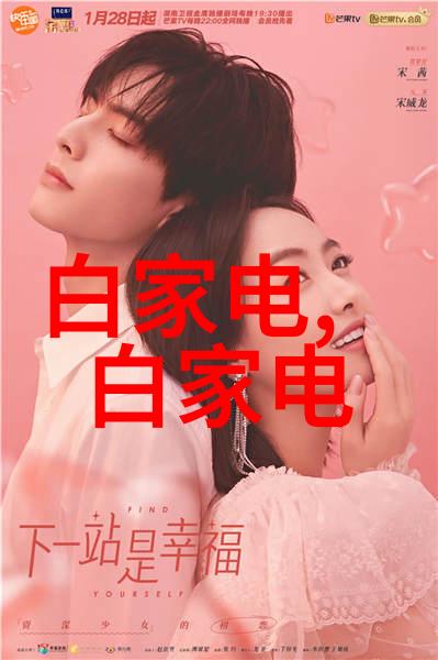 家庭冰箱温度调节策略研究探索舒适与能效之间的平衡点