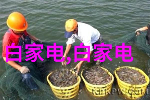 PVC配方的秘密如何创造耐用的塑料制品