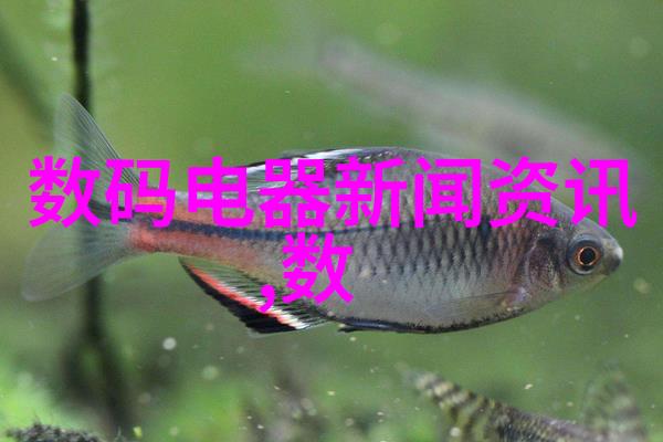 静谧图书角的现代时尚变革书房装修新篇章