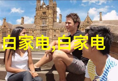 电蒸汽发生器在工业应用中有哪些优势