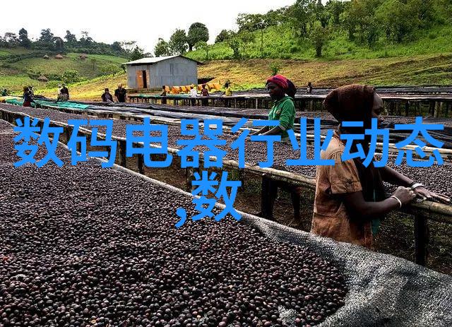 保安岗亭服务专业的安全守护者