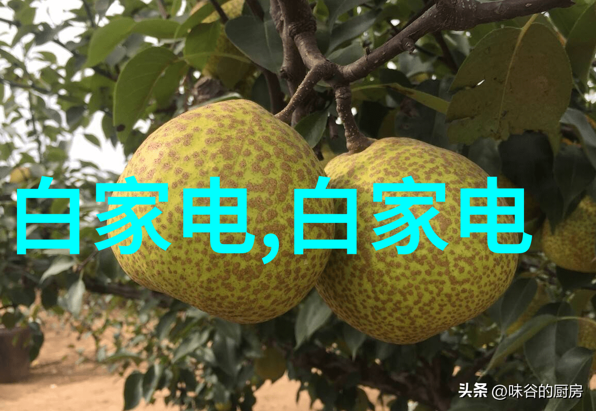宜兴废气处理设备公司我市最有名的清新空气使者如何让它成为你心中的绿色守护神
