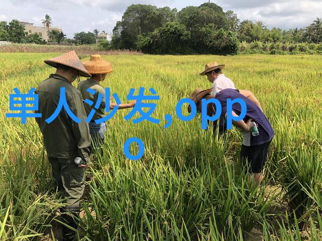 爱死亡机器人我的不归之旅