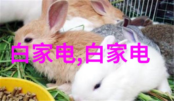 工地水电清包价格揭秘2022年行业动态与预测