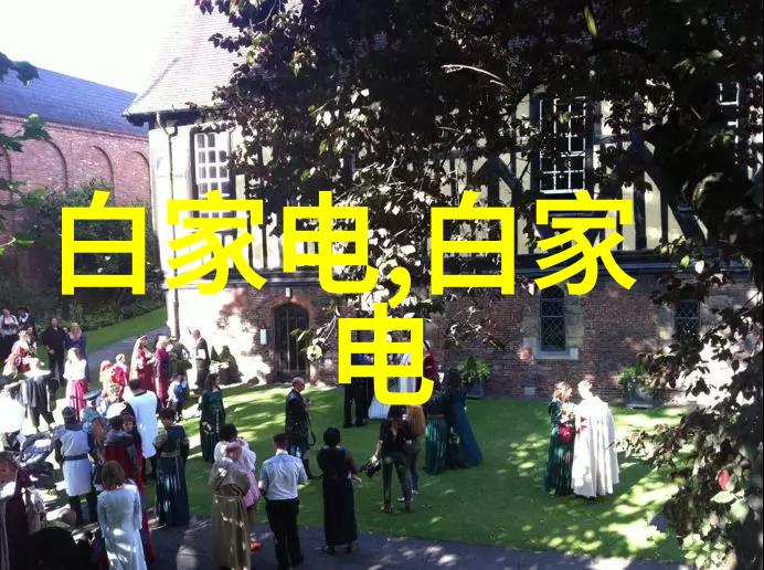 风流军师-天下英雄风流军师的智谋与传奇