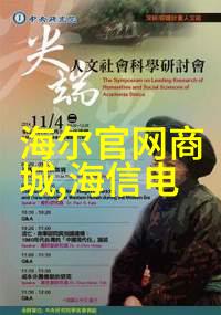 兄弟装饰失落的家谱