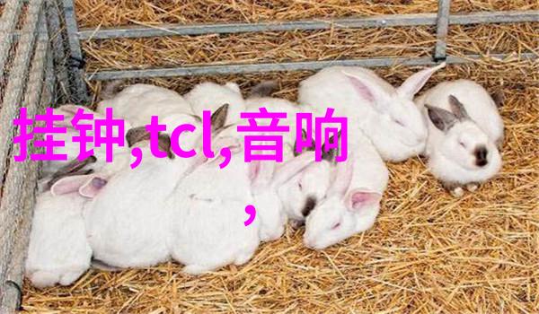 自动消毒喷雾机器人未来公共卫生的神奇守护者吗