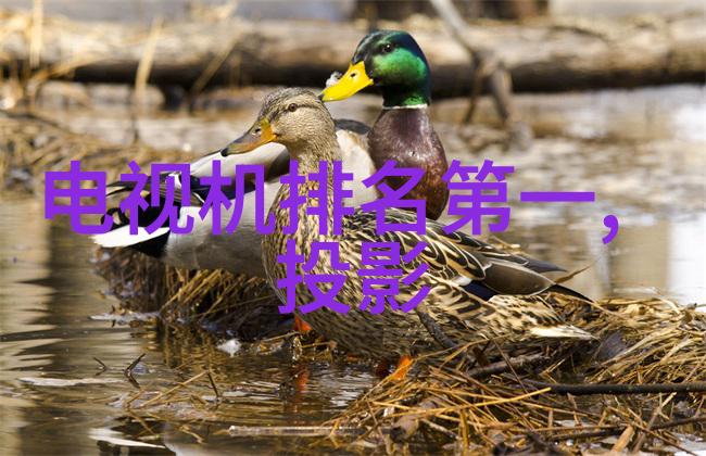 主题邯郸职业技术学院的我在这个充满希望和梦想的地方我遇到了无数激动人心的故事作为一名学子我有幸在这里