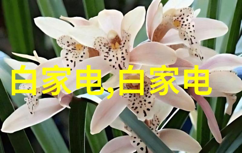 芯片是什么样子它是不是像微小的星球藏于电子世界的深渊之中抑或是一串串闪烁的信息编织成数字时代的语言