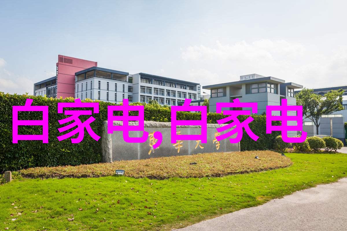 研发新一代实验室选矿设备提升效率降低成本