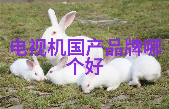 热浪来袭但家里的空調卻只會發出冷風這該怎麼辦呢