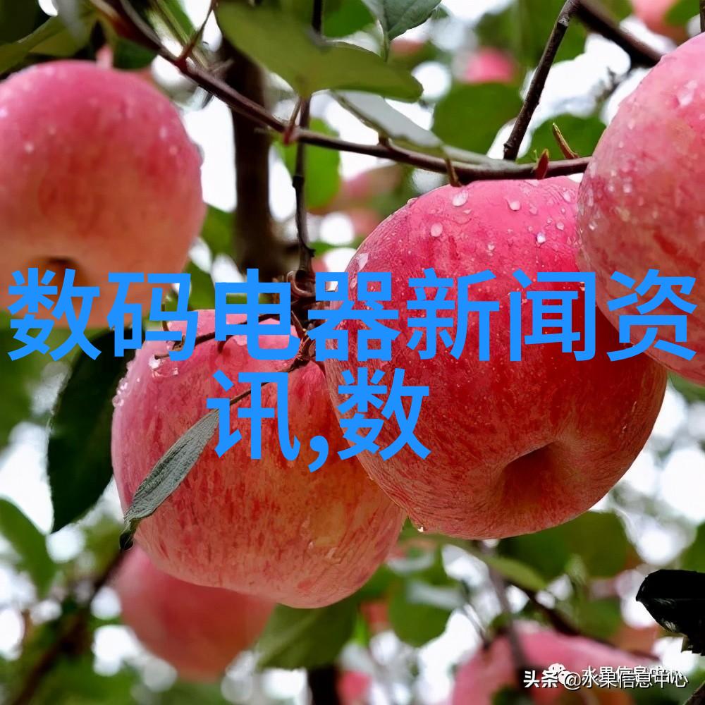 分选机型号大全了解不同应用的精确选择与配置