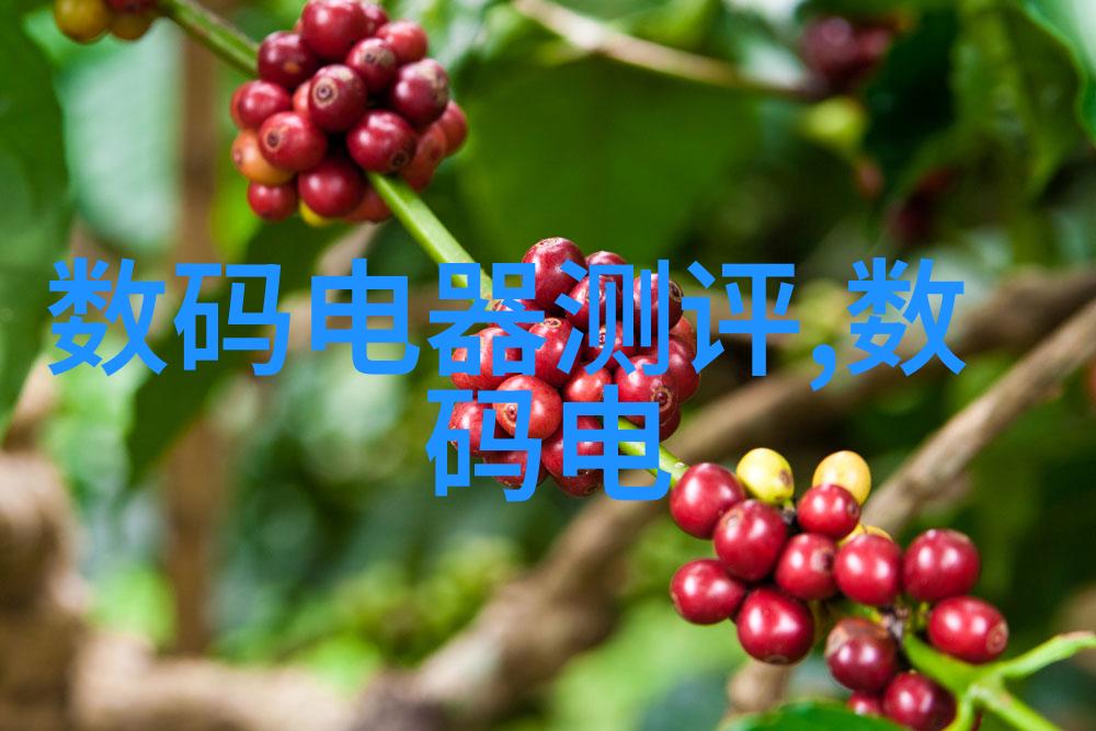 全球芯片强国之争领跑者与新兴力量的较量