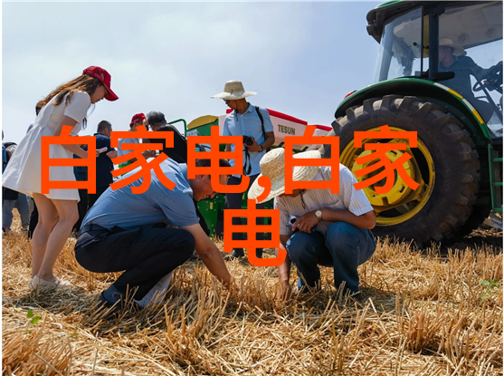 青莲记事新浪网络文学作品虚构故事