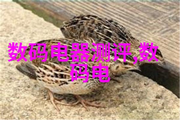 空气预热器暖风的源泉探索冬日温馨生活的关键设备