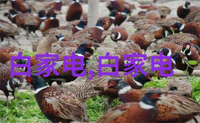 我是怎么想的中国人保股价为什么低呢