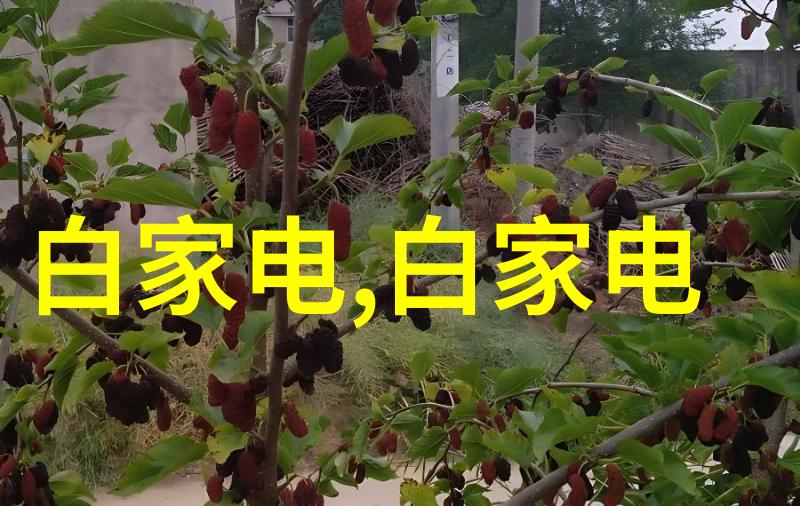 淑娟的痒症两腿间的不眠之旅