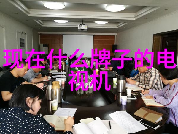 对开门冰箱空间利用高效十字门则省电节能