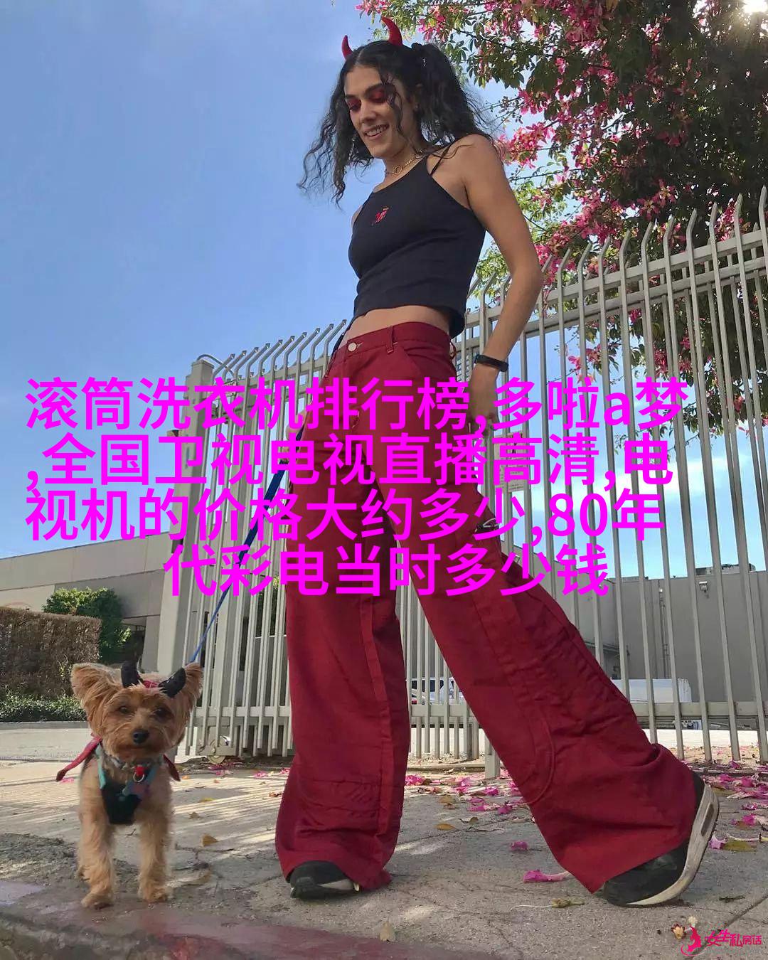 室内绿化