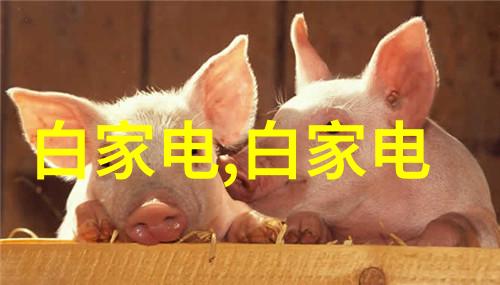 水质检测大师揭秘那些能精准分析水源健康的工具与方法