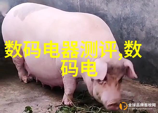 家庭饮用水检测标准确保家中水质安全的方法