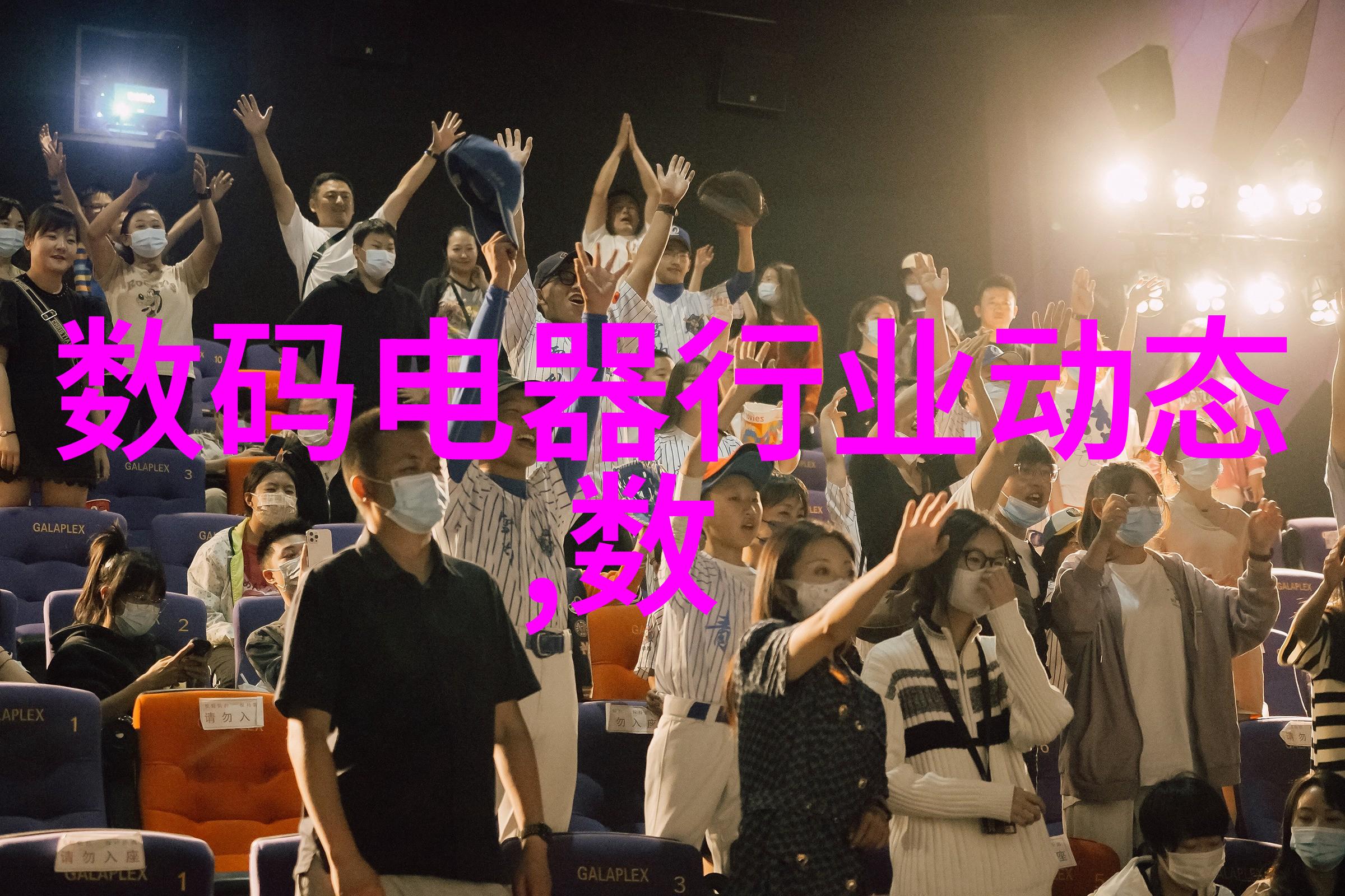 公共资源采购新篇章招标投标法实施条例的实践与挑战