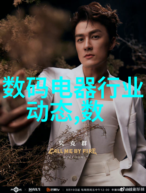 机械守护者风干之舞