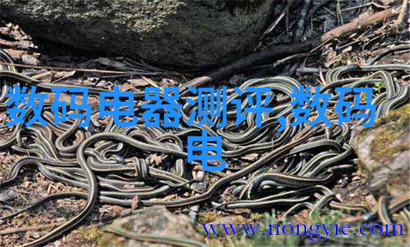 工业自动化-精准重量效率双增检重机在现代物流中的重要角色