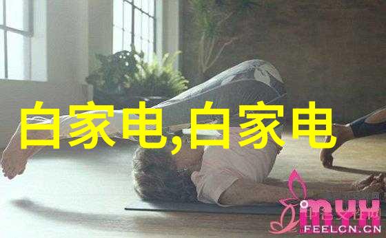 将不可持续变成可持续如何通过提高PA技术实现这一目标