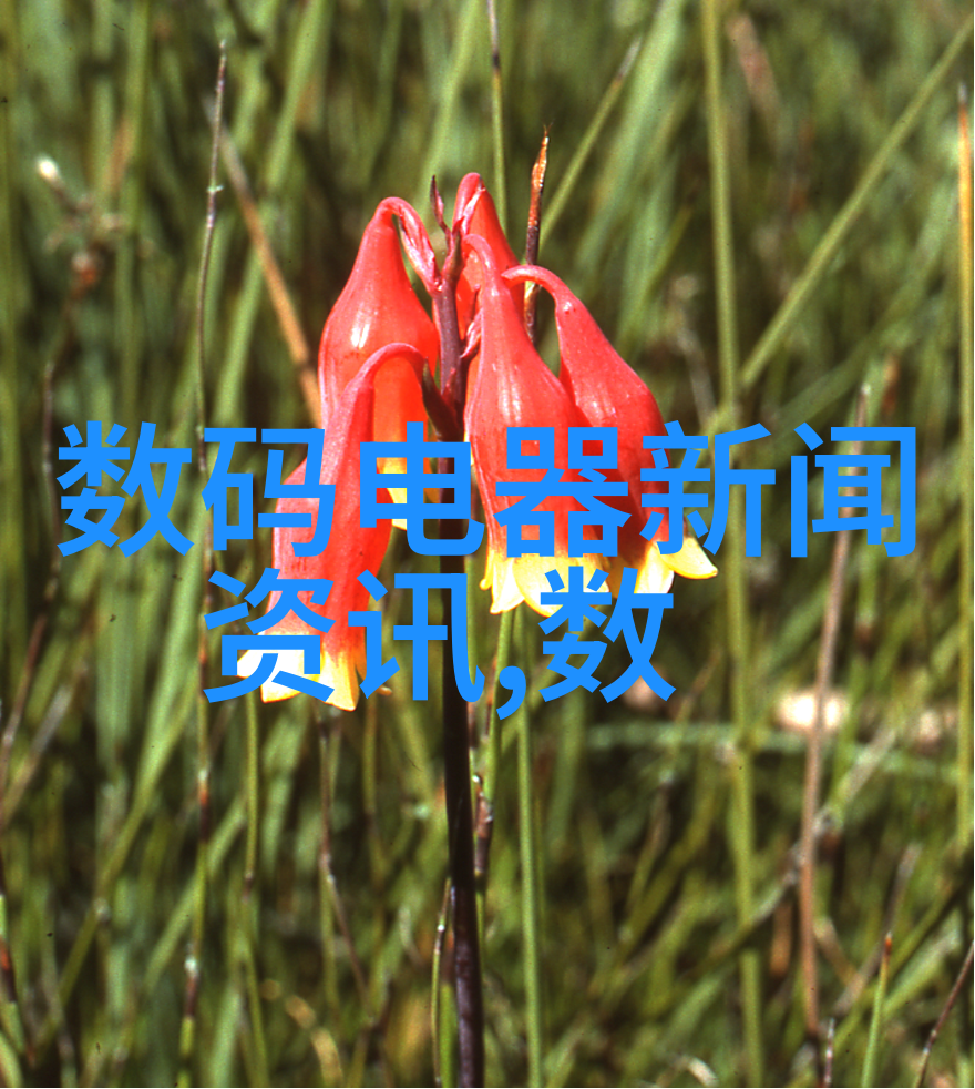 热流交错换热器的隐秘舞蹈