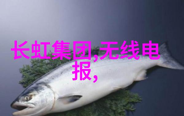 能不能学会点电