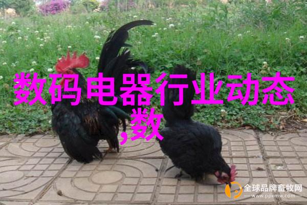 辨别技巧从表面光泽到化学成分识别假和真304