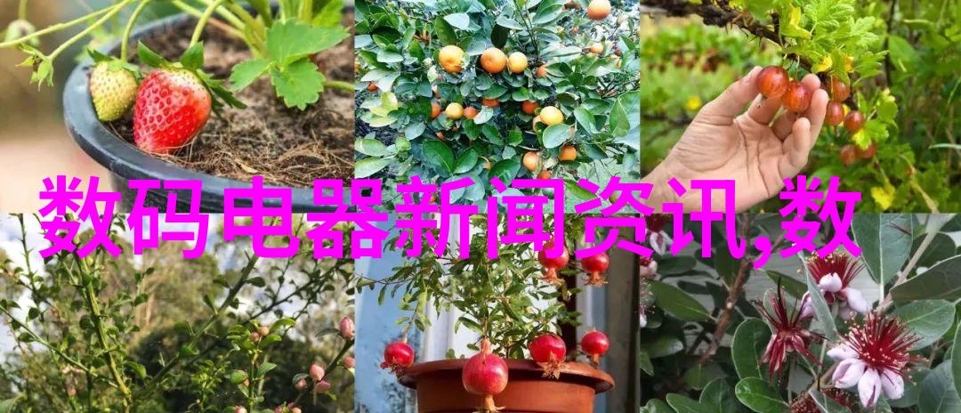 教育资源丰富的同时九江职业技术学院还注重学生的全面发展吗