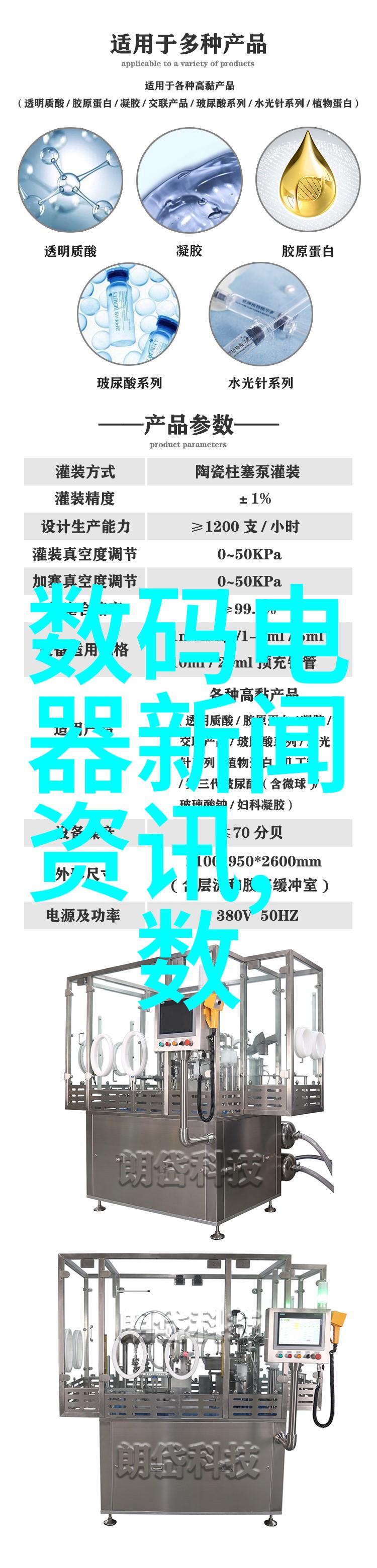 资金筹措策略与项目实施方案