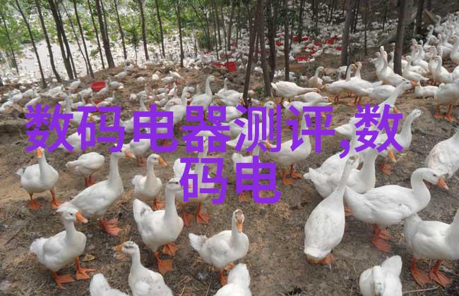 科技趋势-混搭革命探索混合设备的多样化面貌