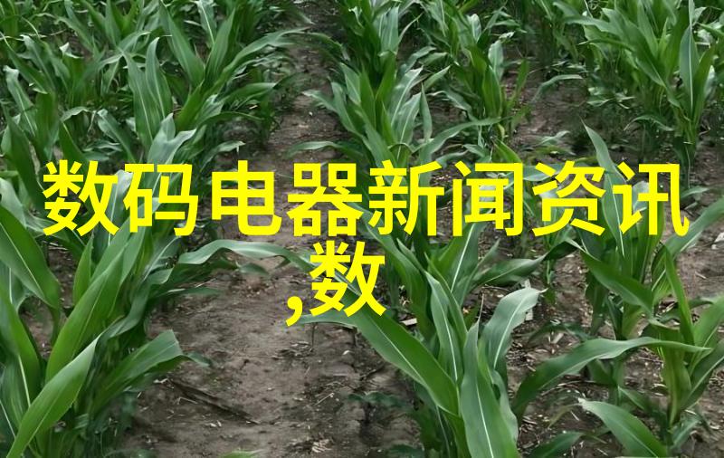 探索海底资源深水天然气田的开发与挑战