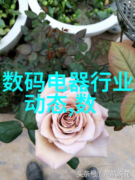 国产电视剧排行榜前十名红颜佳人与江湖恩怨的故事