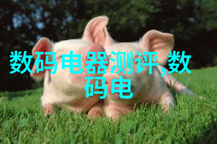 家居美学与实用性并重的水电设计图解